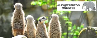 Allwetterzoo Münster Logo und Erdmännchen