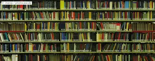 Das Bild zeigt eine große Bücherwand mit zahlreichen bunten Büchern, die ordentlich in Regalen einer Bibliothek aufgereiht sind