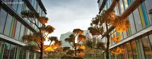 Das Bild zeigt einen modernen Gebäudekomplex mit großen Glasfassaden und bunt reflektierenden Fenstern. Dazwischen stehen kunstvoll beleuchtete Bäume.