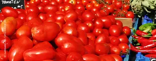 Das Bild zeigt eine große Menge leuchtend roter Tomaten auf einem Marktstand, daneben sind grüne und rote Paprika sowie Artischocken in blauen Kisten zu sehen.