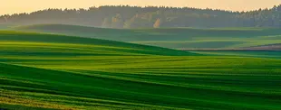 Branchenbild Land und Forstwirtschaft